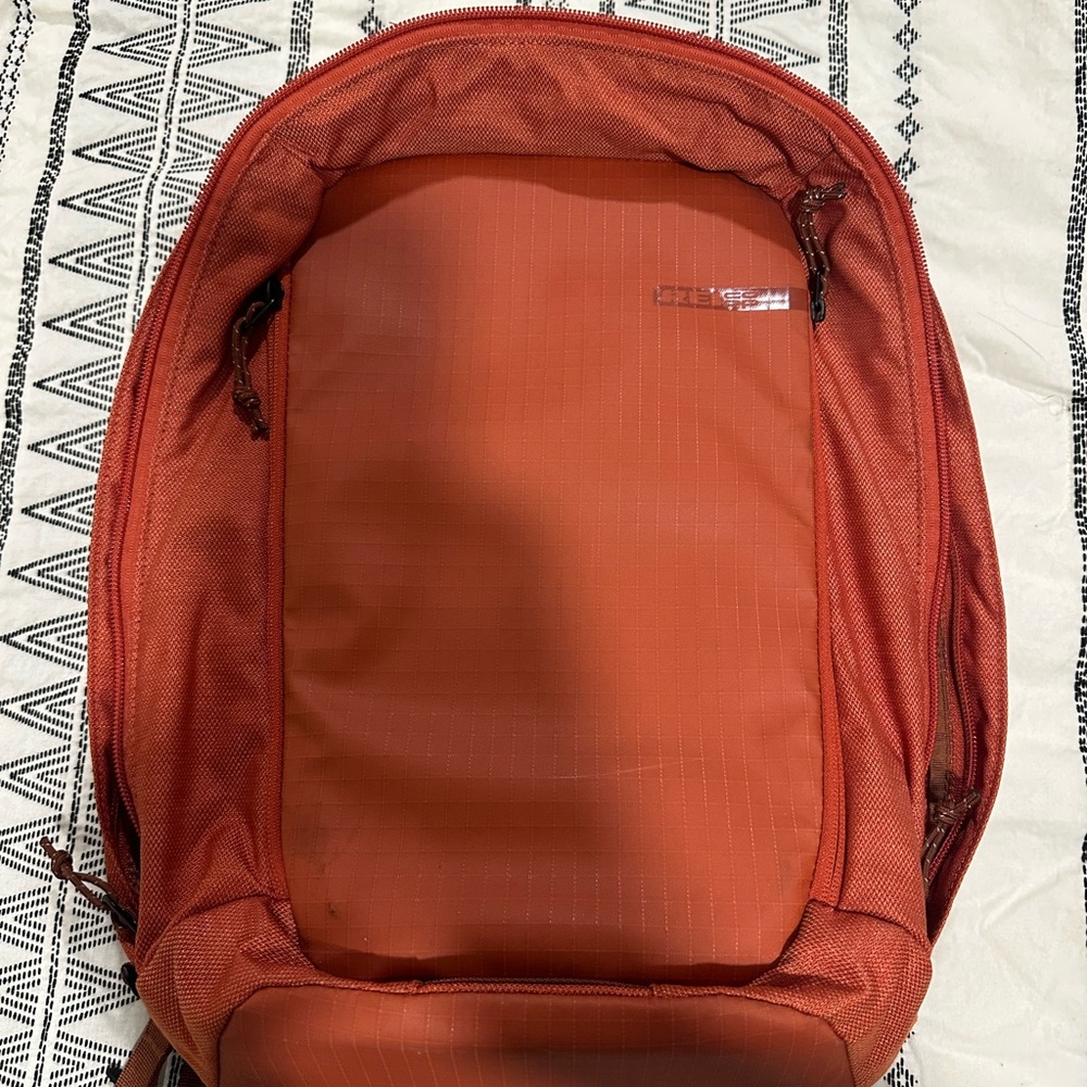 REI shoulder/laptop bag.